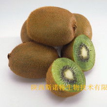 寶雞市特產銷售行業協會 領航獼猴桃產業，打造“金果”新名片