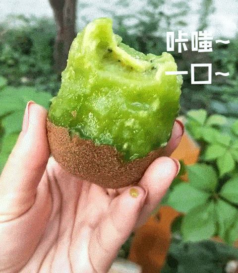 走起！這樣的采摘游玩樂趣千萬別錯過——獼猴桃采摘基地合集