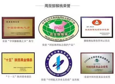 周至獼猴桃盼銷路 萬千兒女的呼喚，您的援手見真情